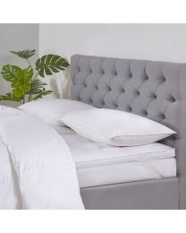 Dreamy Nights All Natural Goose Feather & Down Pillow Pair, White