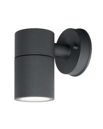 Roy Outdoor Down Wall Light with Tempered Glass, Anthracite