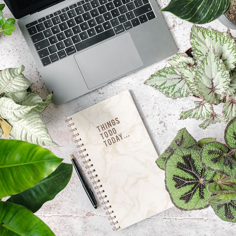Choosing the Right Plant for Your Space