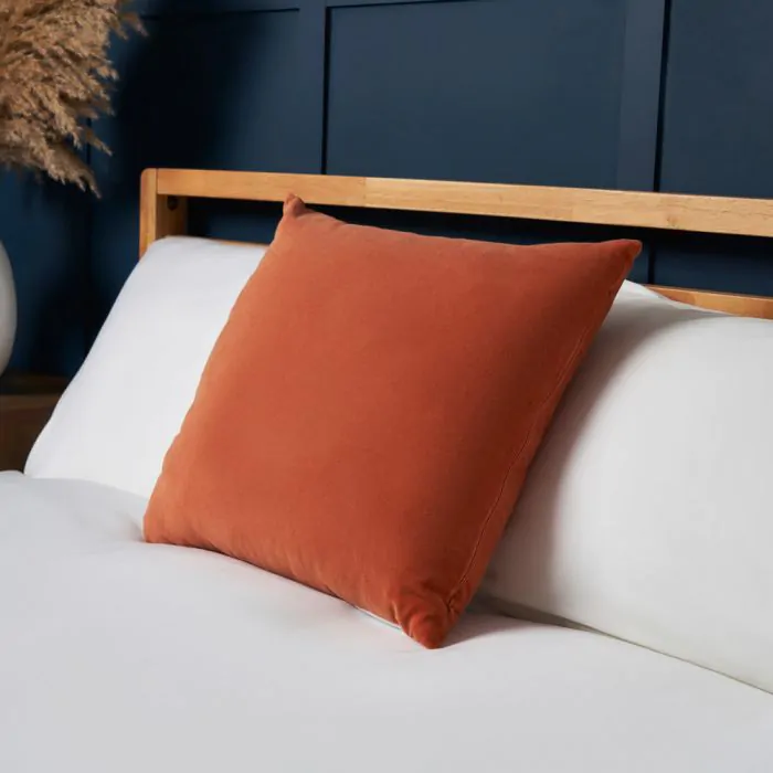 Terracotta velvet cheap cushions
